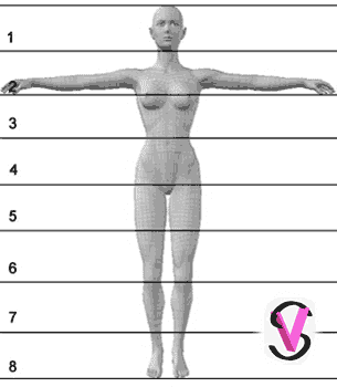 Proporzioni corpo umano femminile