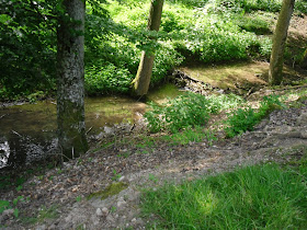 Ausflugsziele in Franken