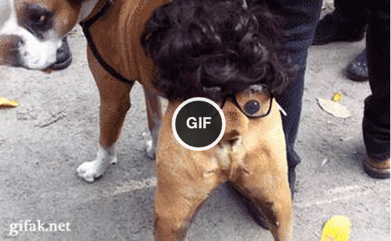 That's the best gif i every liked 