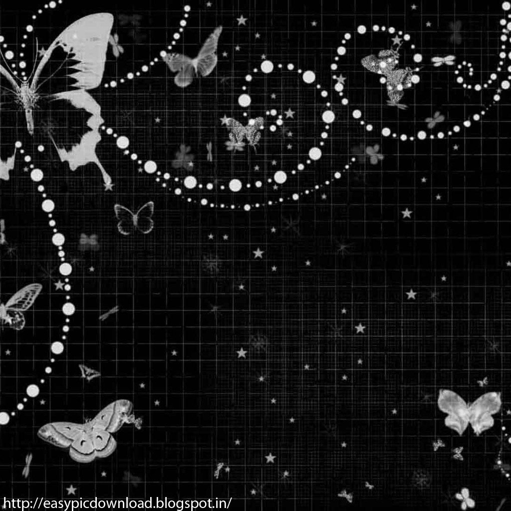 Black White Butterfly Wallpaper - Easy Pic Download