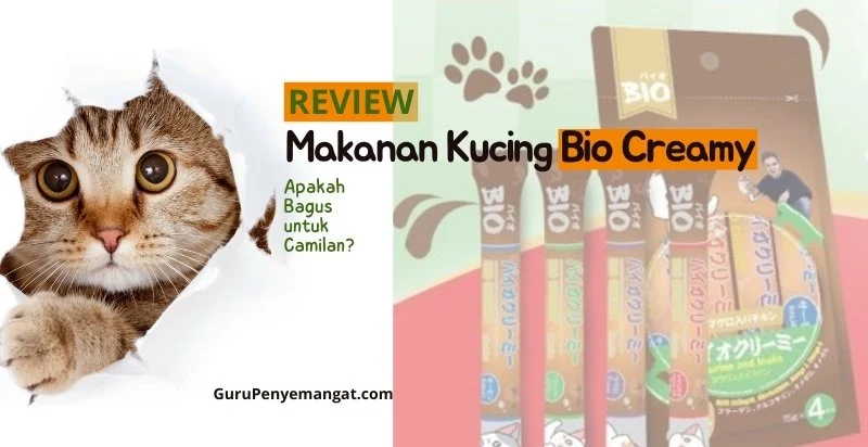 Review Makanan Kucing Bio Creamy