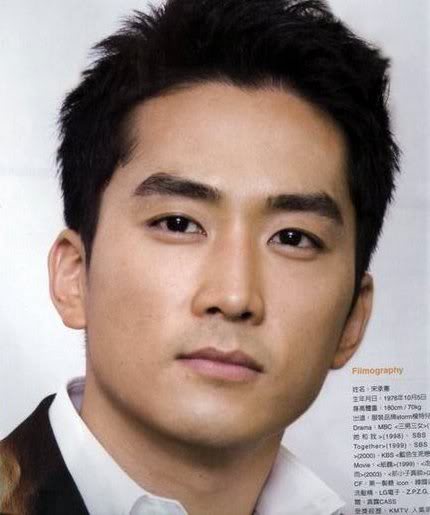 Song Seung Hun profile  Pemikir Cerdas