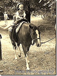 Hollywild & Misc 427