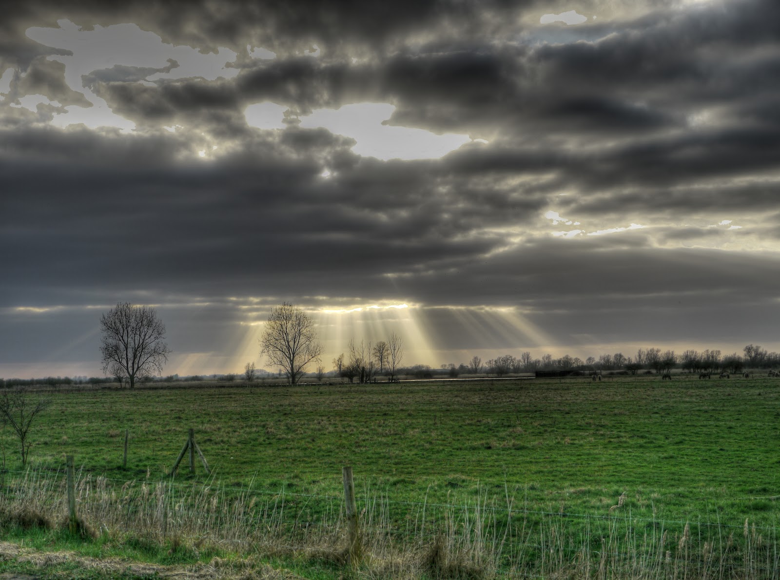 P1230183_4_5_tonemapped.jpg