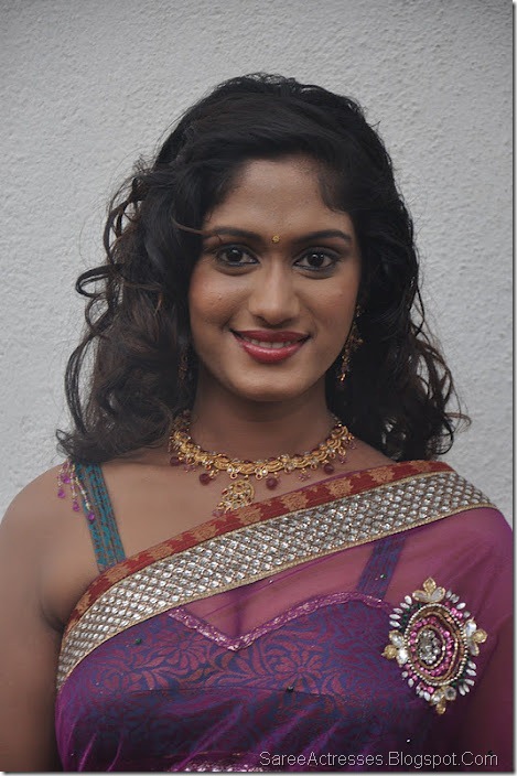 Lavanya Hot Pics in Purple Saree 4