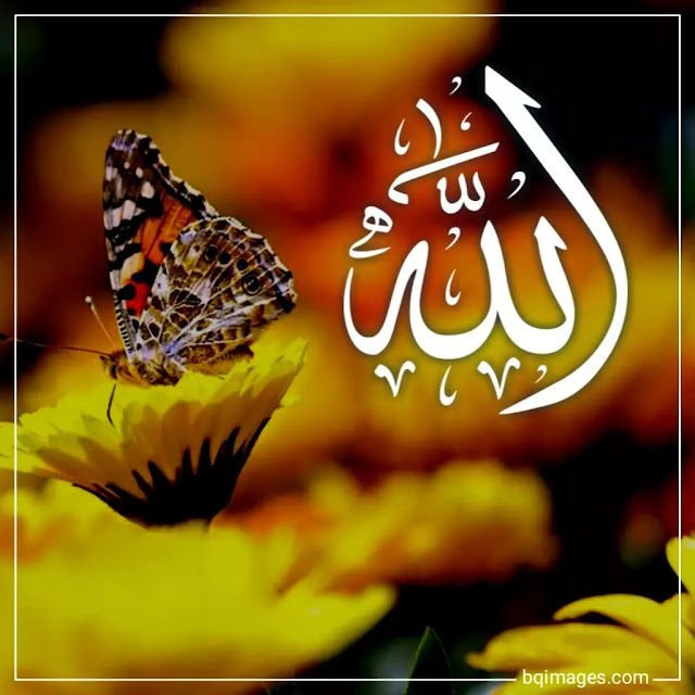 allah name images dp