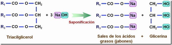 reaccion de saponificacion