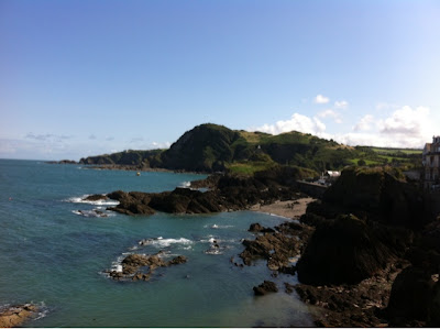 Illfracombe Elephant Devon