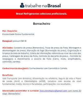 Borracheiro