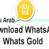 WhatsApp Gold 2024 Download 3 upgraded copies