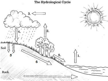  kali ini aku akan coba berikan teladan soal ulangan harian geografi penggalan hidrosfer Contoh Soal Ulangan Geografi Bab Hidrosfer