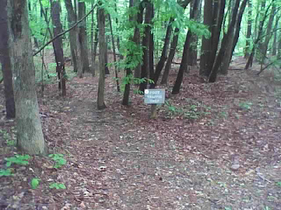 trail head of Section 5 of the Falls Lake Trail from Bayleaf Church Rd.