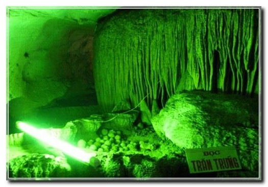 ImageView_006