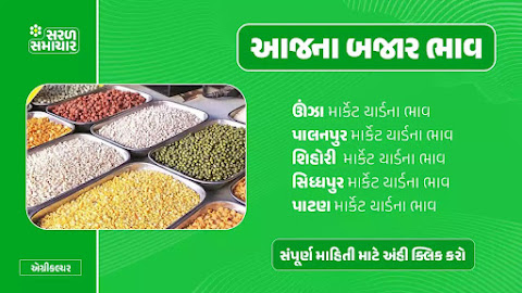 Gujarat Bazar Bhav | ગુજરાત માર્કેટયાર્ડ બજાર ભાવ | Today Bajar Bhav | જામજોધપુર માર્કેટ યાર્ડ ભાવ 