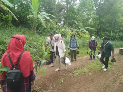 Jaga Hutan Tetap Lestari, COBRA Lampung Tanam Pohon di Tahura Wan Abdul Rachman