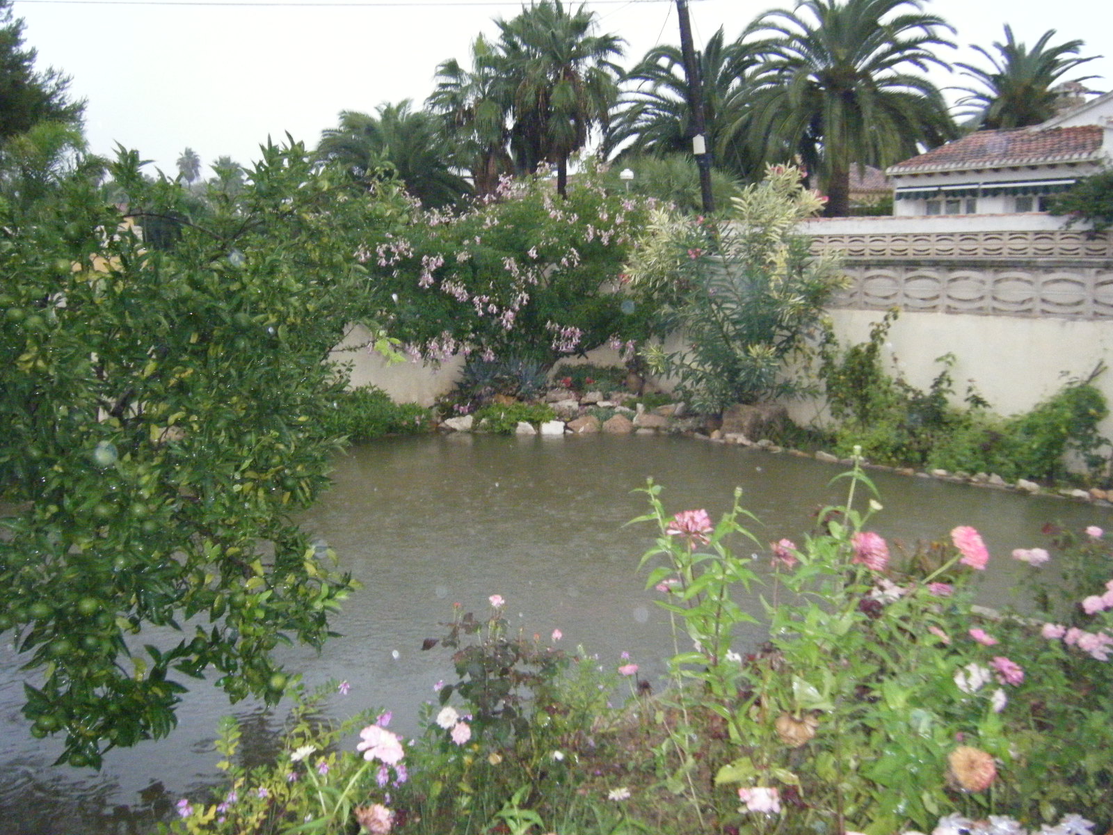 2009_10040010.JPG