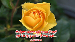 Rose day shayari in hindi