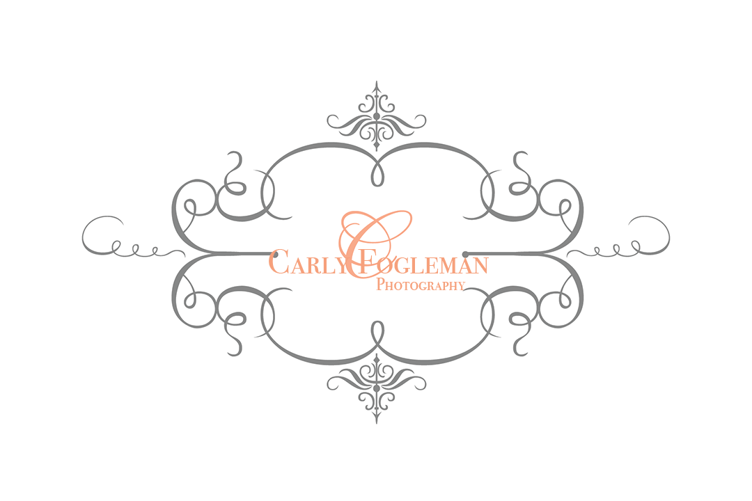 Carly Fogleman Photography