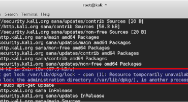 Sửa lỗi Kali Linux E: Could not get lock /var/lib/dpkg/lock – open (11: Resource temporarily unavailable) error in Kali Linux