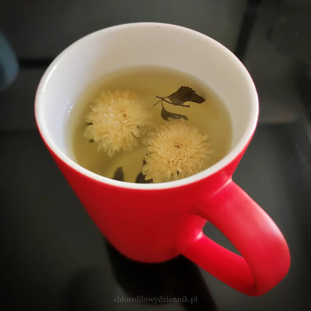 herbata herbatka z kwiatow chryzantemy tcm kwiatowe herbaty wlasciwosci uprawa gatunki przepisy przepis jesienna przeciwskazania odchudzanie medycyna chinska azjatycka herbata na jesien