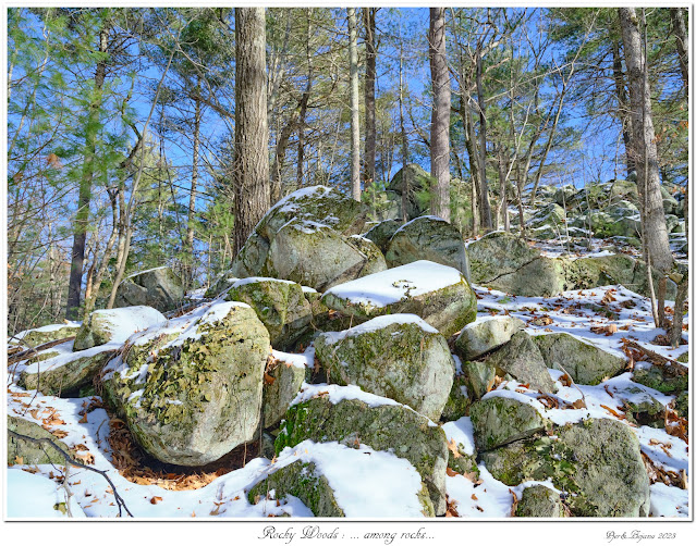 Rocky Woods: ... among rocks...