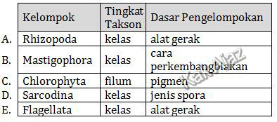 Tabel opsi jawaban, hubungan Rhizopoda, Mastigopora, Chlorophora, Sarcodina, dan Flagellata terhadap tingkat takson dan dasar pengelompokan, opsi jawaban soal Biologi UN 2019