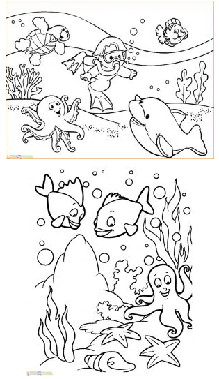 Gambar Sketsa Hewan  Di Dalam Laut