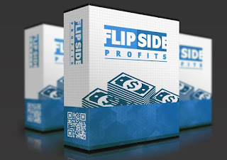 flipside profits