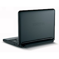 Toshiba Mini Notebook NB255-N250