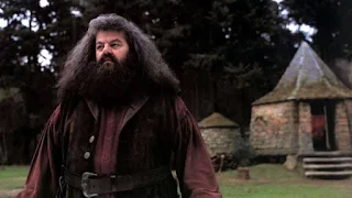 Os momentos inesquecíveis de Rubéo Hagrid