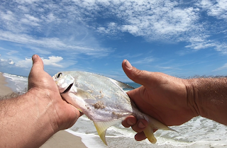 Pompano Florida East Coast Surf Fishing Canaveral National Seashore Playalinda Beach