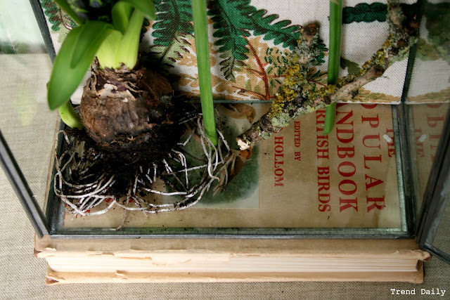 caroline davis stylist, trend daily blog, styling details, terranium, plants in a box, spring bulbs