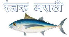 https://ranjkmarathi.blogspot.com/2022/05/tuna-fish-in-marathi.html