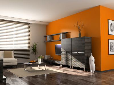 Home Interior Designs