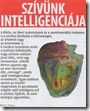 Szívünk intelligenciája