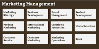 The Significance of Marketing Management in Business