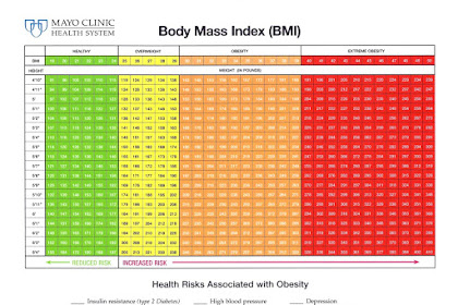 Cdc Bmi Calculator For Adults