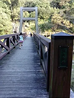 源じいの森の川にかかっている橋