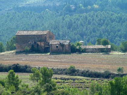 Vilagaià des de la carena