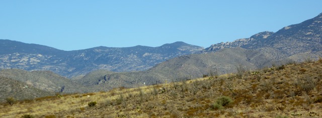 P1180712