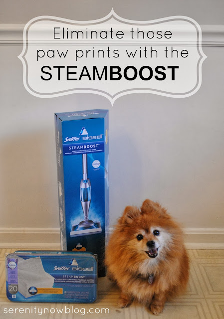 Swiffer Bissell SteamBoost Giveaway at Serenity Now!