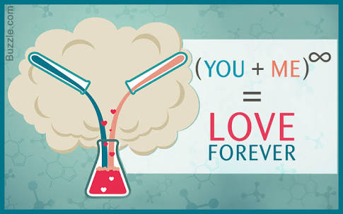 ভালোবাসার রসায়ন||Chemistry of Love   