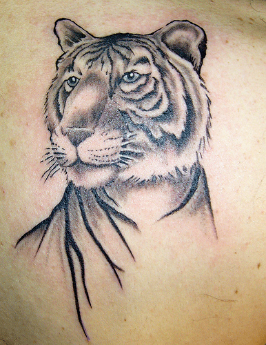 Animal Tattoo Designs