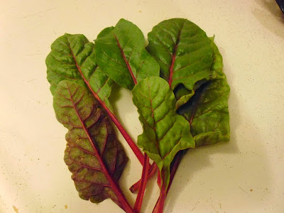 Red Chard leaves harvested June 24