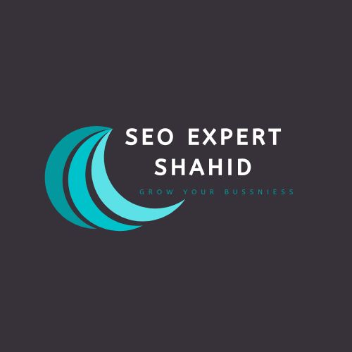 shahid pervaiz seo