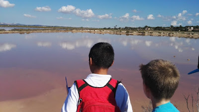  Ses Salines, 5è Primària 2018