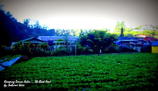Marina Chalet and Homestay, Kampung Taman Sedia, Tanah Rata, Brinchang, Cameron Highlands,http://marinachalet.blogspot.com/