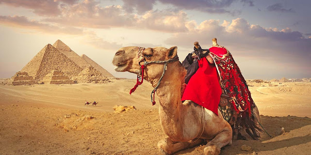 THE TOP 10 Egypt Day Trips -Egypt Day Tours to Explore