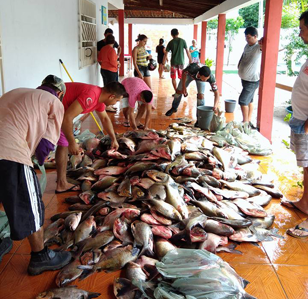 Prefeitura de Cocal dos Alves distribui 4,5 toneladas de peixe à população na Semana Santa