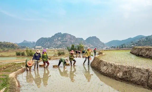 Importance of Soil as A Natural Resource